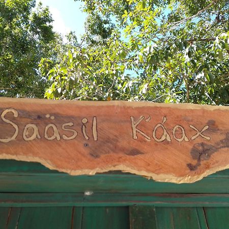 Villa Saasil Kaax Chemuyil Exterior foto